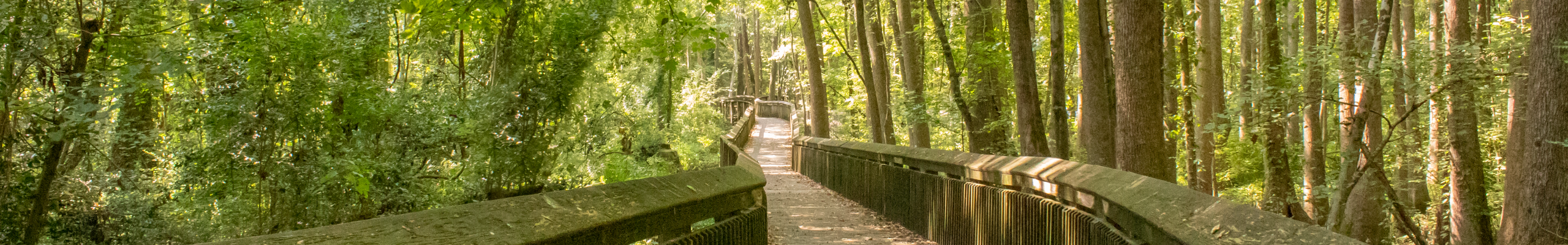 Rail Trail Board Walk