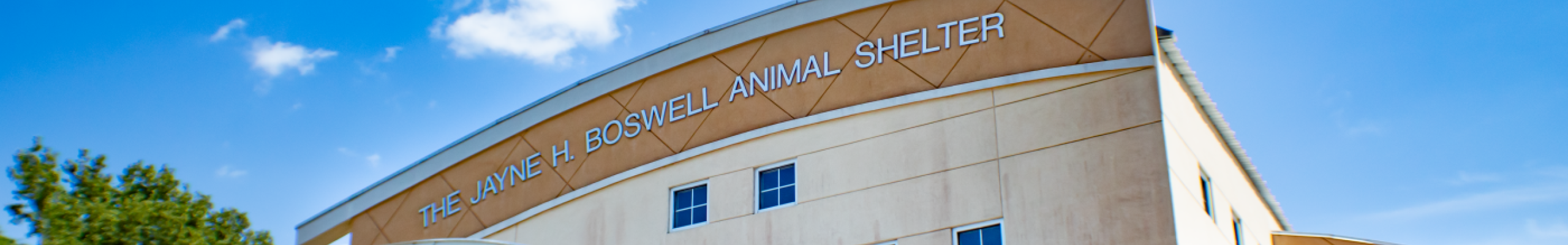 Animal Shelter