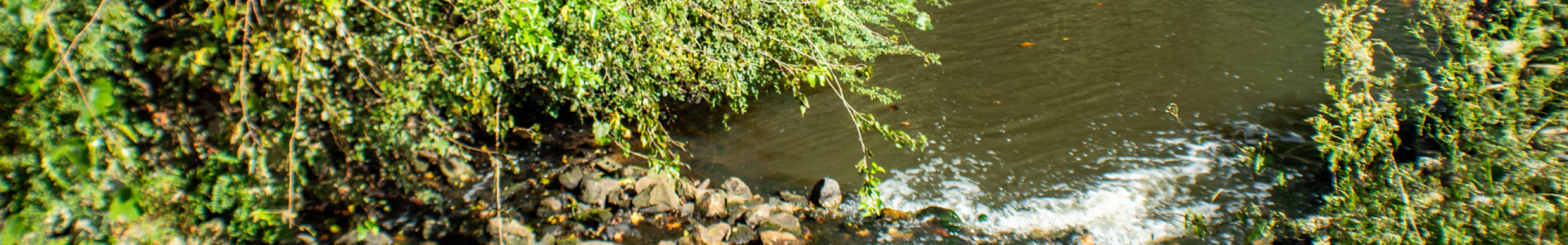 stormwater