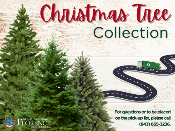 Christmas tree collection