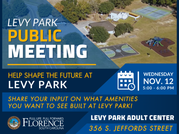 Levy Park Public Meeting