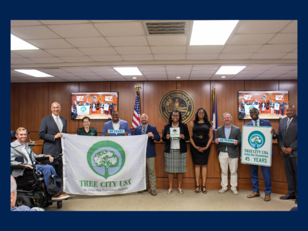 City Council receiving Tree City USA Award for 2024
