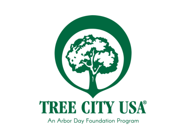 tree city