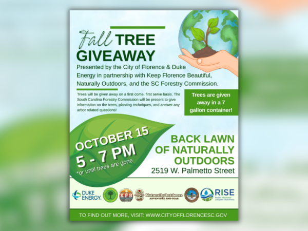 tree giveaway