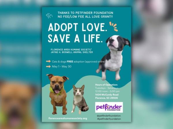 Free Adoptions Month of May