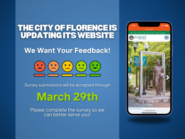 website survey graphic