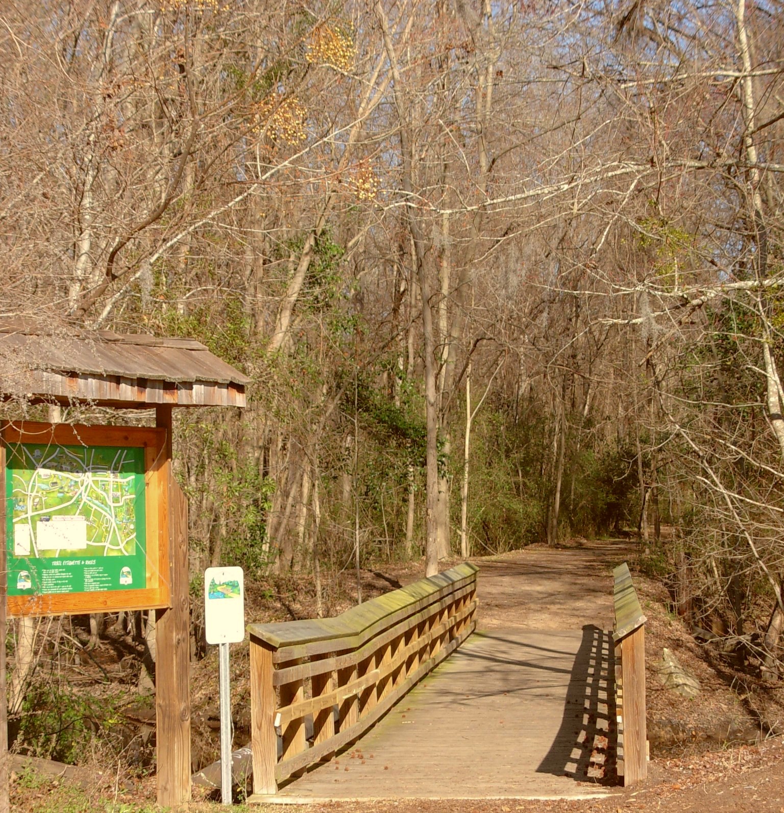 The Bridge