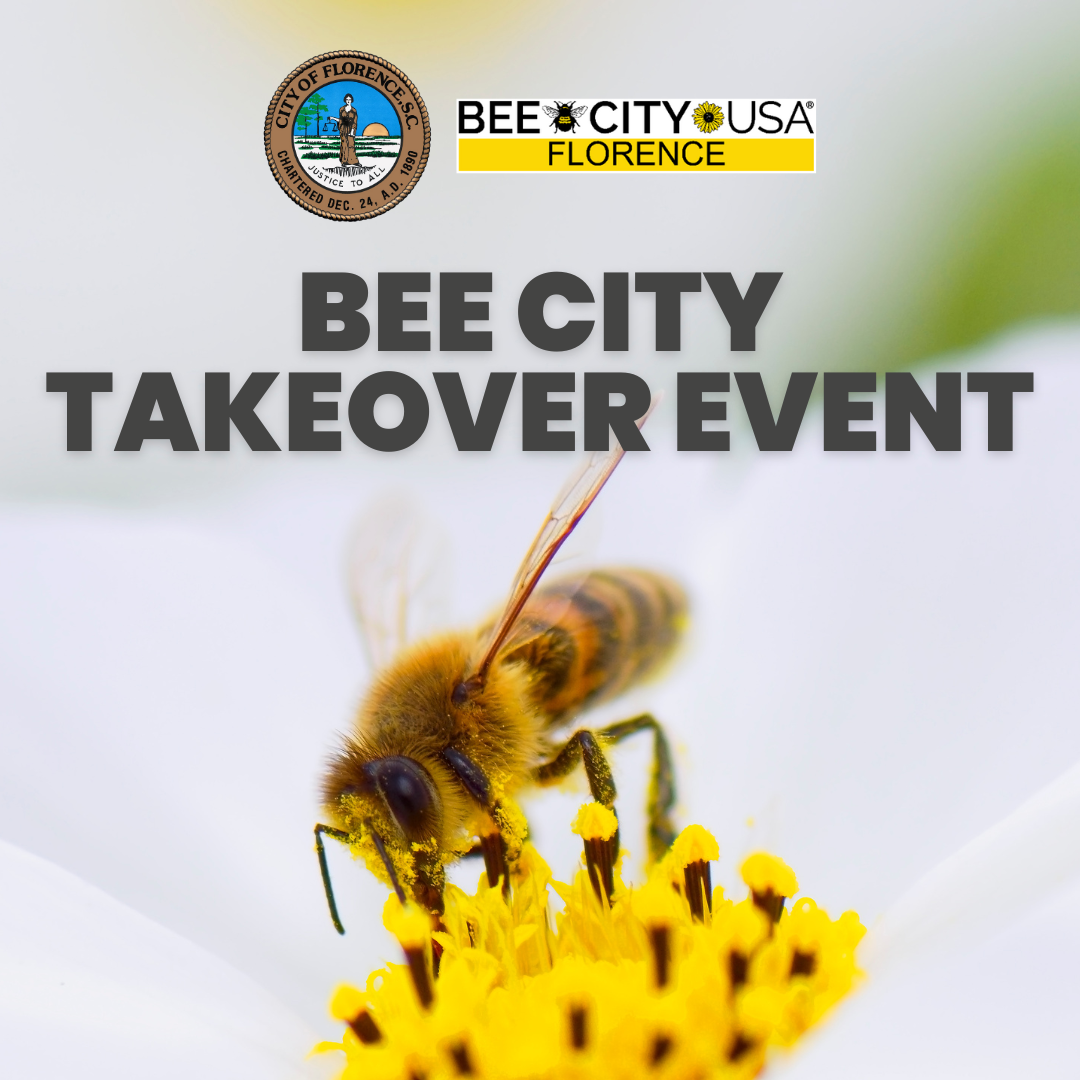 Bee City Takeover Flyer
