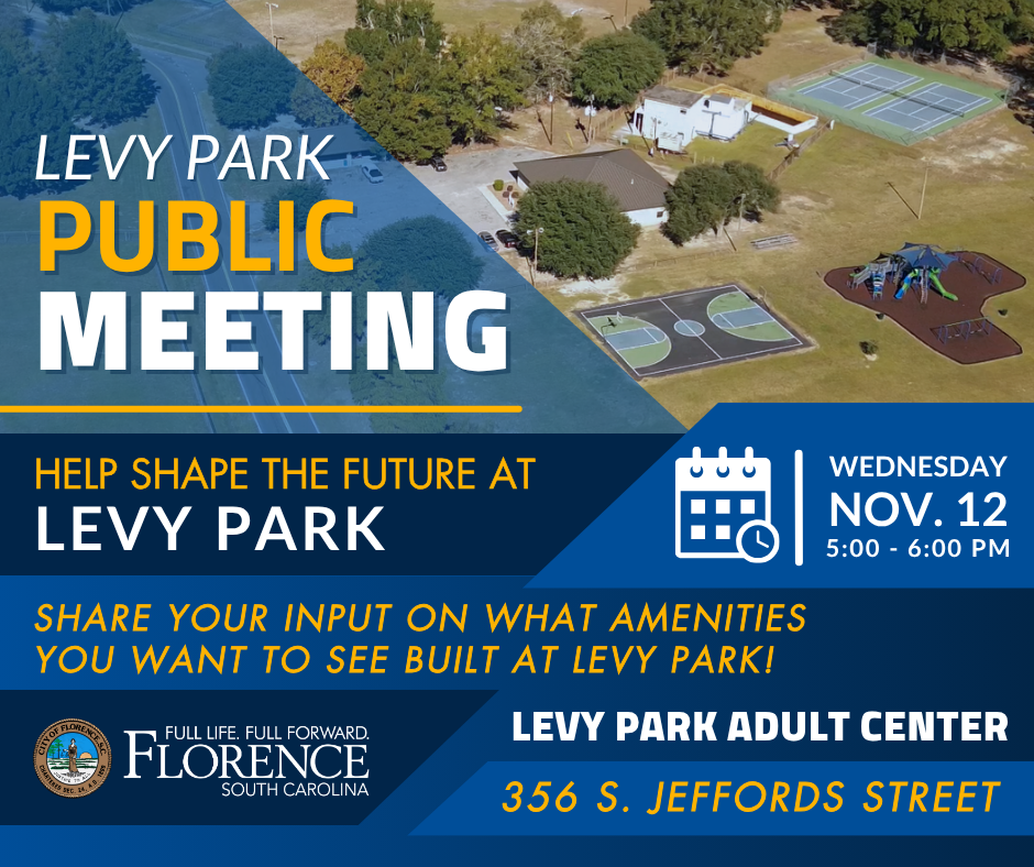 Levy Park Public Meeting